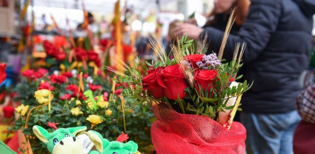 Parades de Sant Jordi 2019 | Foto: R.Gallofré