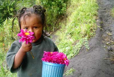 Una de les fotografies de la mostra titulada '¿Quieres una flor?'