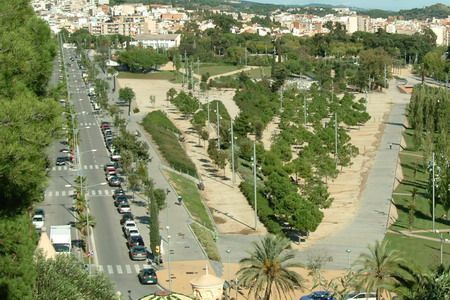 Zona del Parc per ón els gossos poden anar deslligats