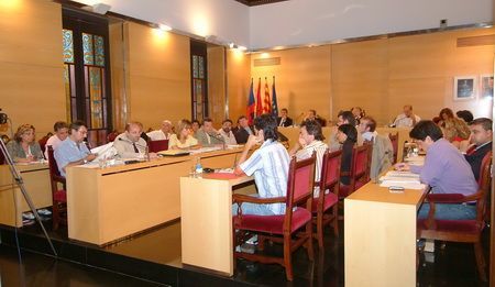 Un moment del ple del dia 13