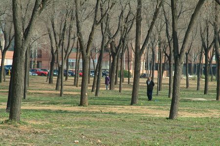 El Parque de la Pollancreda El Parque de la Pollancreda