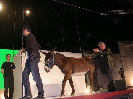 Dos imágenes de los ensayos de la gala Dos imágenes de los ensayos de la gala