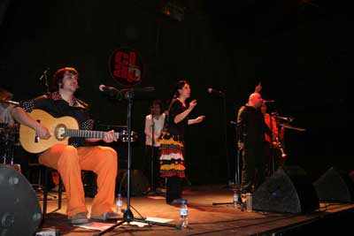 Un momento del concierto, con el guitarrista en primer plan