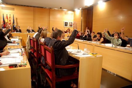 Els regidors aproven el document per unanimitat