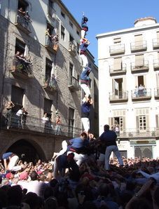 L'agulla del 4 de 8