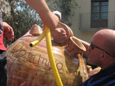 Domingo Ginestà, en la edición pasada